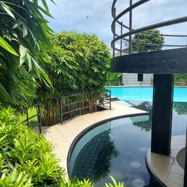 Tropical garden around the pool